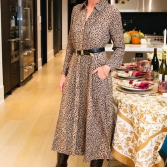 Tuckernuck Dresses & Skirts - Tuckernuck Aster Leopard Print Maxi Long Sleeve Shift Dress